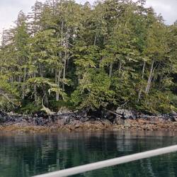 Sample view from the boat