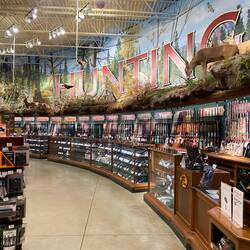 Und die richtigen...