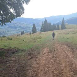 Schöne Aussicht und Wege über die Almen.