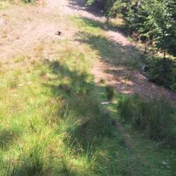 Und auch wieder runter