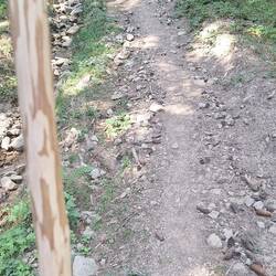 So steil geht es hier wirklich hoch