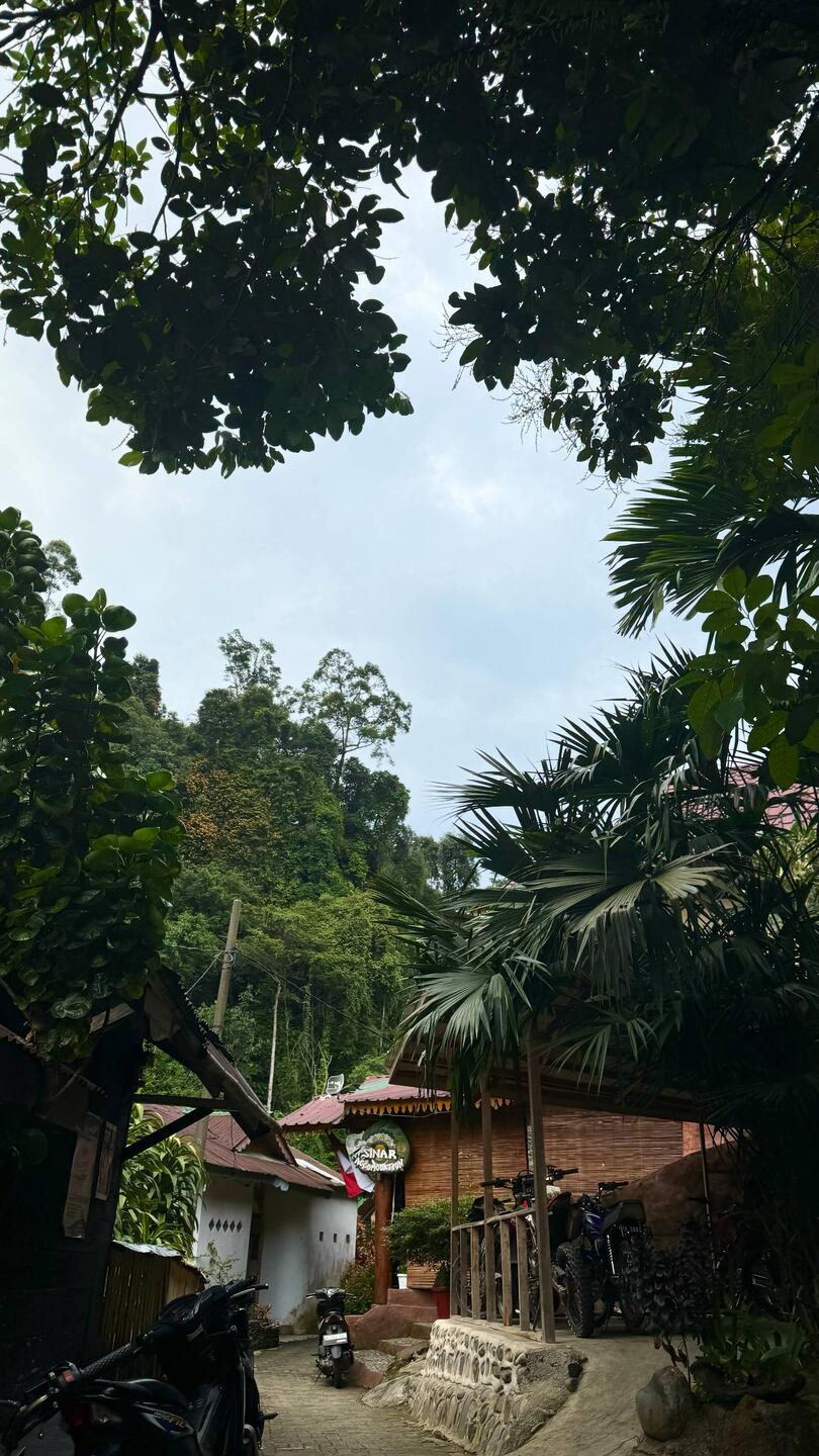 Bukit Lawang