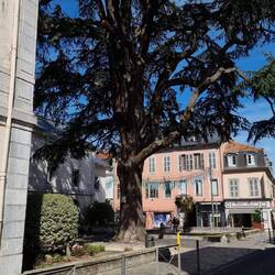 Obwohl Tarbes...