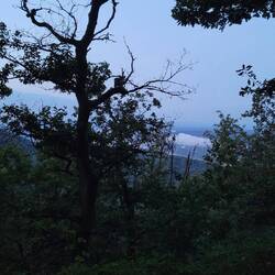 Aussicht vom Schallenberg
