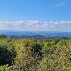 Aussicht vom Asberg.
