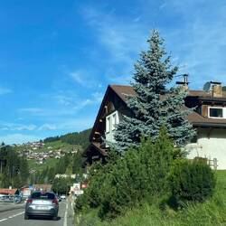 Leaving Tirol - morning