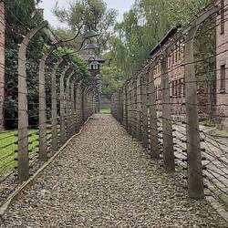 Tussen prikkeldaad en elektriciteitsdraden met 700 Volt