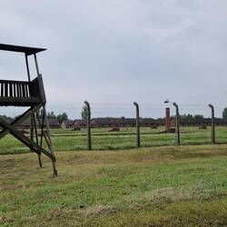 Birkenau: zover het oog reikt barakken en gaskamers