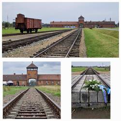 Birkenau - het einde van de treinreizen