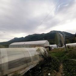 Es gibt noch viele weitere Gewächshäuser, ich wohne in dem zweiten. Darin ist auch ein Strohhaus