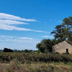 Wygebiet