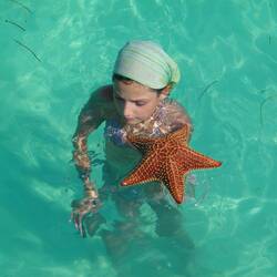 Seestern im Natural Pool