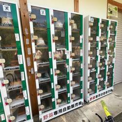 Farm vegetable Vending machine