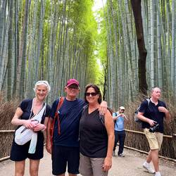 Bamboo forest