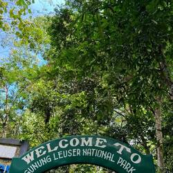 Gunung Leuser Nationalpark