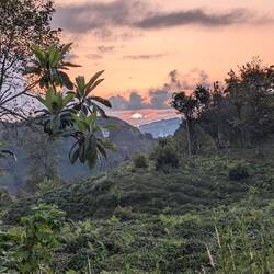 Famose Ausblicke bei der Fahrt durch die Teeberge