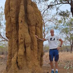 Riesiger Termitenhügel....das Linke😂😂