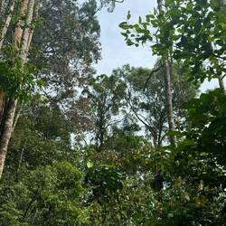 Gusung Leusur Nationalpark