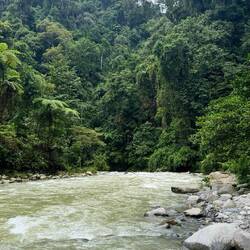 Gusung Leusur Nationalpark