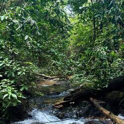 Gusung Leusur Nationalpark