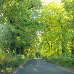 The roads to Kilkenny were small, winding and beautiful.