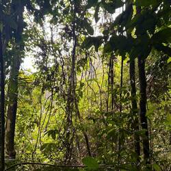 Gusung Leuser Nationalpark