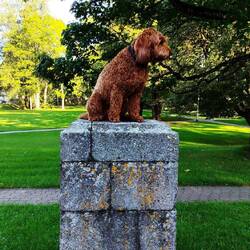 Eine der schönsten Statuen 😁