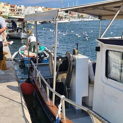 Local fishing boat having sold its catch