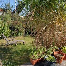 Garten Idyll