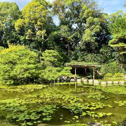 Jardin de Heian Shrine