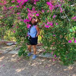 A thorn between the bushes