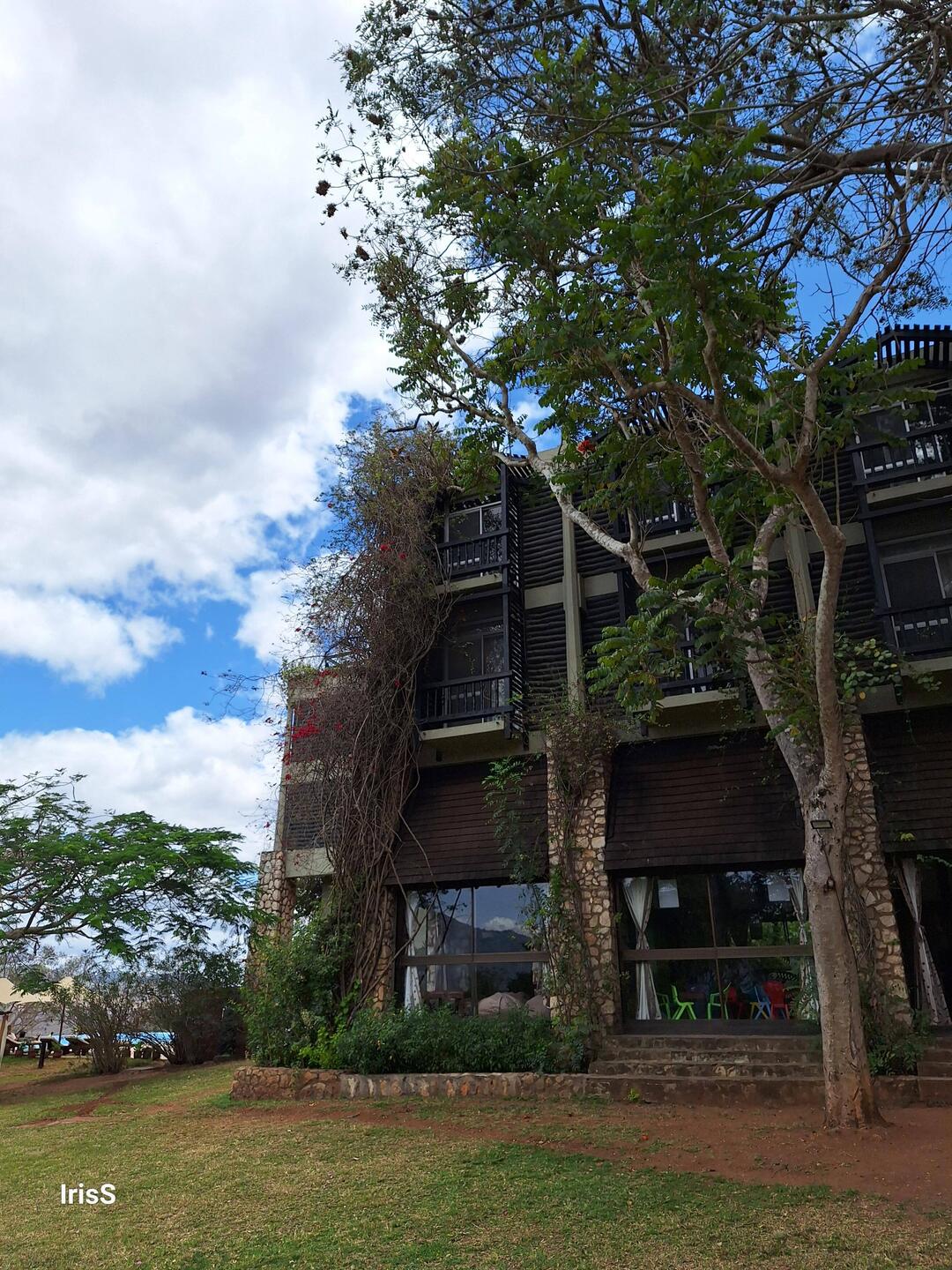 Taita Hills