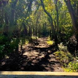 statt Cleveland Way heute "The Cinder Track"