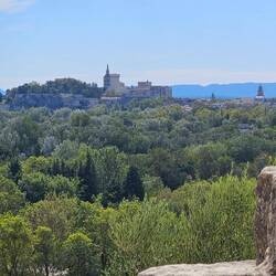 Avignon