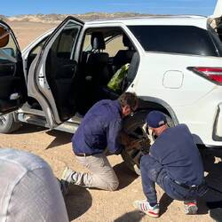 Italiener: "What Tanja says, I do."