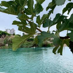 Der Süsswasserzufluss