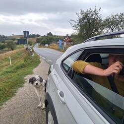 Begrüßungskommitee