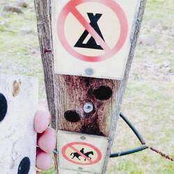 Da ist er ja