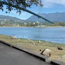 Die Brücke nach Norden