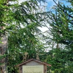 Hier wurde der Ludwig vom Blitz erwischt!