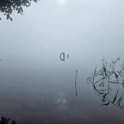Couln't see the other riverbank