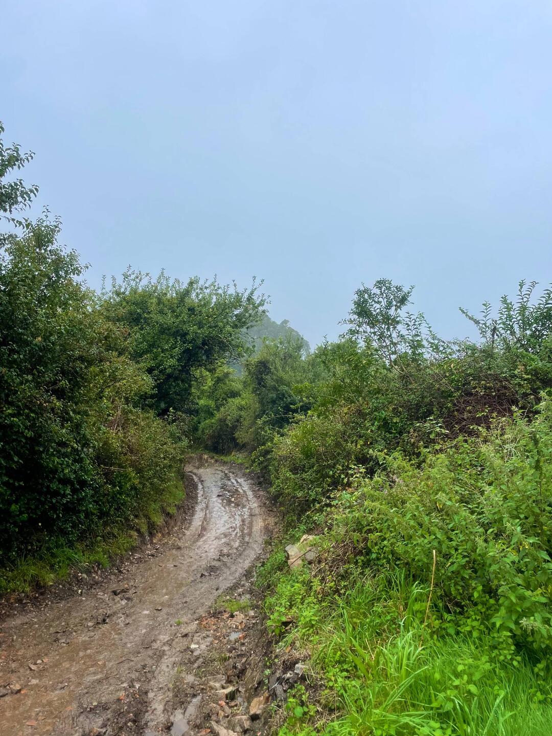 do you see the 445m hill?