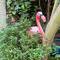 In our hotel garden - meant to be.