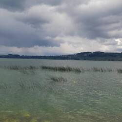 Biswind am Murtensee