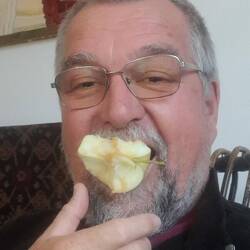 Aepfel zum Gesundwerden