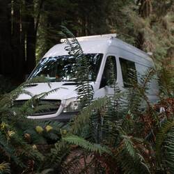 Mill Creek Campground