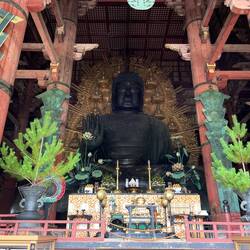 Grand bouddha dans le Todai-ji