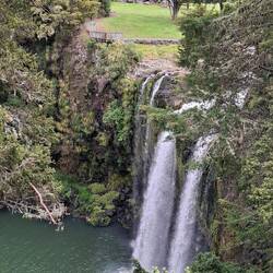 Whangarei Falls