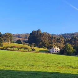 4 km après Oviedo, on est déjà dans la campagne