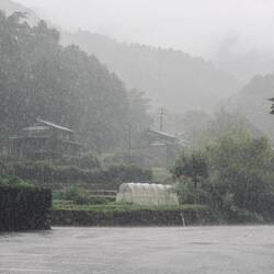 Raining cats and dogs - found good shelter at a bus stop for the night.